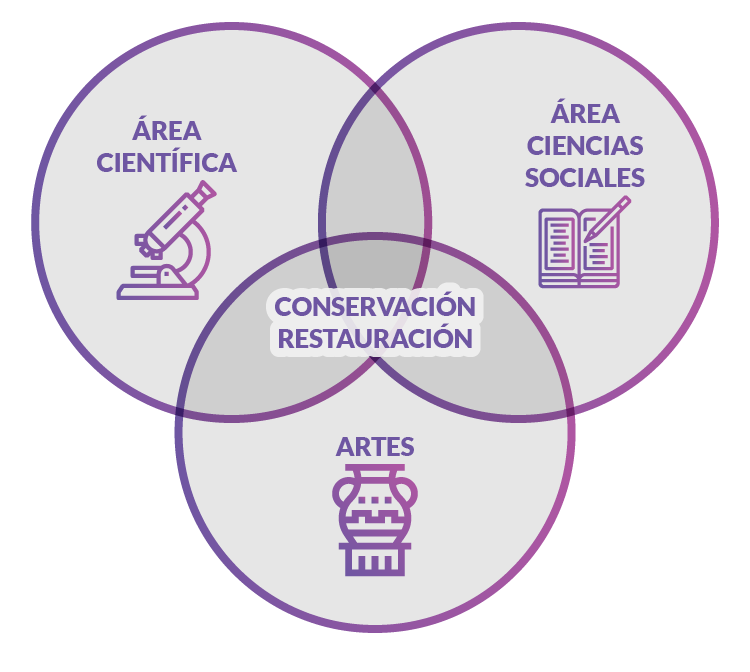 Áreas y disciplinas