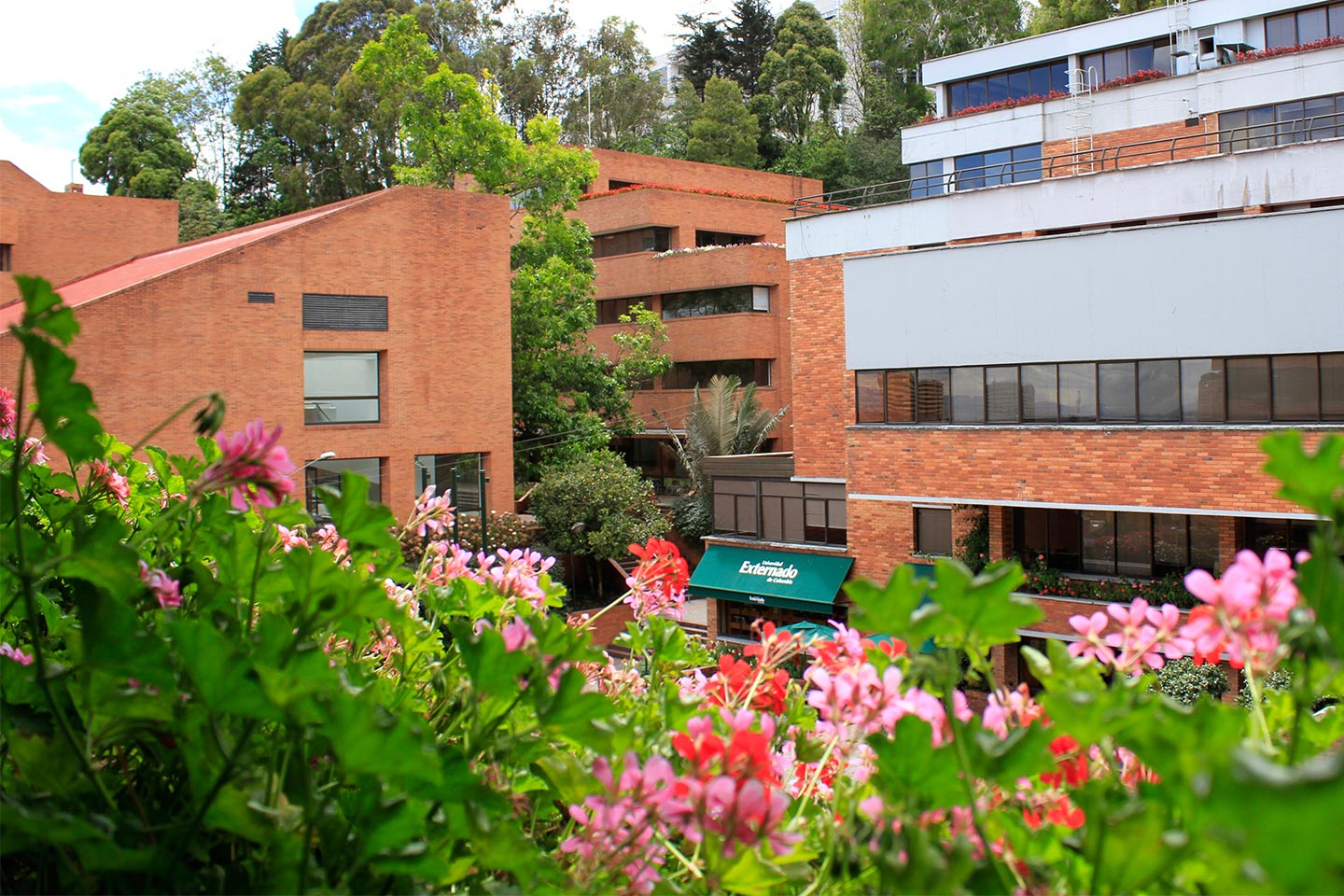 Oficina de Gestión de Riesgos