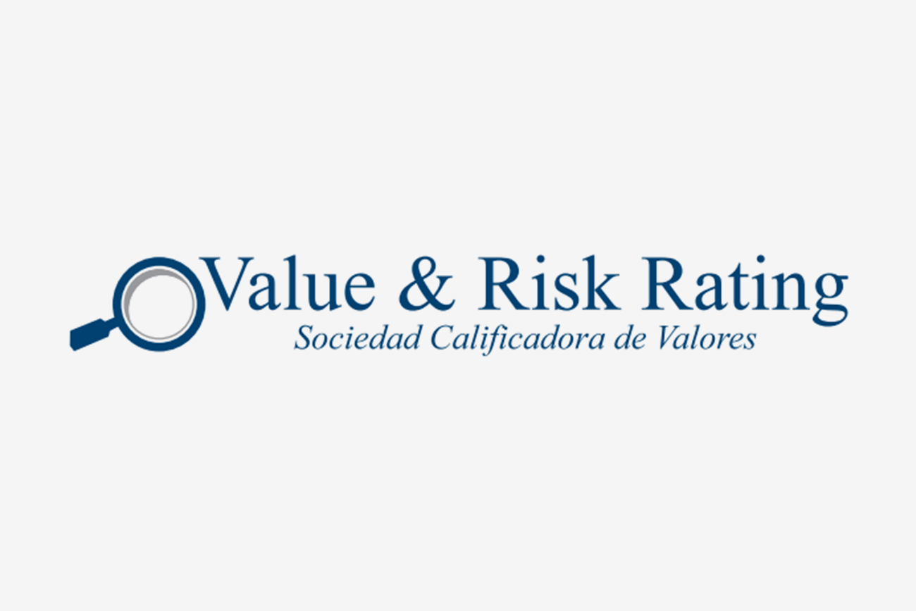 Value and Risk Rating